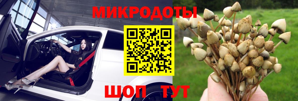 Галлюциногенные грибы ЛСД Нижний Тагил